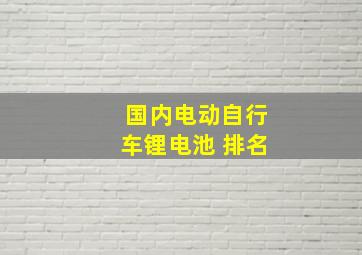 国内电动自行车锂电池 排名